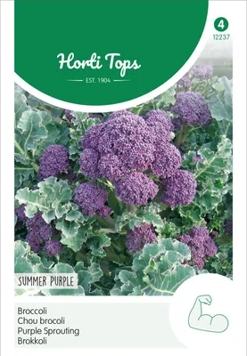 Produktbild von Brokkoli Summer Purple | Brokkolisamen von Hortitops