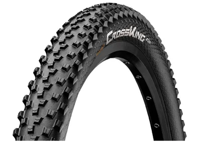 A close-up studio shot of a bicycle tire.