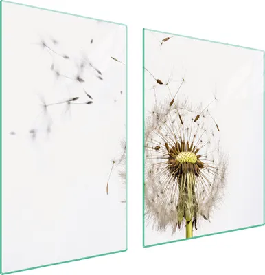 Produktbild von Glasplatte und Schneidebrett 100x52 Blume