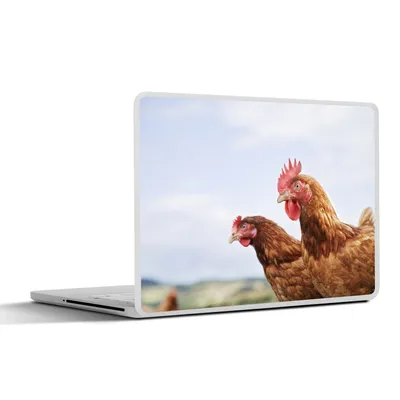 Produktbild von MuchoWow® Laptop Aufkleber Sticker Cover Nahaufnahme von zwei Hühnern 31x22.5 cm - Laptop-Deko