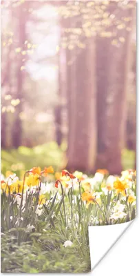 Produktbild von MuchoWow® Poster Frühling - Narzissen - Bäume 20x40 cm - Plakat - Foto