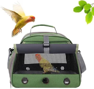 Productafbeelding van Kleine, groene vogelkooi, met zitstok en zijruitjes, geschikt voor papegaaien en kleine vogels