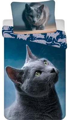 Produktbild von Jerry Fabrics JERRY FABRICS Bettwäsche Dark Cat Baumwolle, 140/200, 70/90 cm