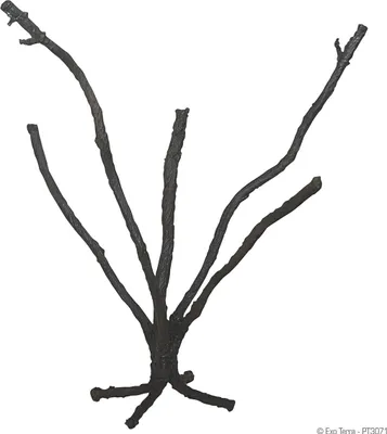 Produktbild von Exo Terra PT3071, Pflanzen, 1 Stück(e)