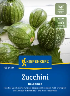 Produktbild von Kiepenkerl Zucchinisamen Boldenice F1 Cucurbita pepo 6 Pflanzen
