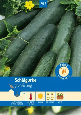 Artikelbild 1 von 'Schälgurke Fatum' aus der Kategorie Schälgurkensamen