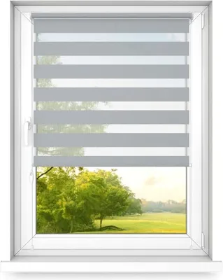A window with a gray and white striped roller blind partially covering the view of a park with trees.