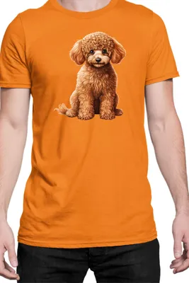 Obrázok produktu pre Mužské Tričko Dogs Breeds Poodle Dog Breed 006, Man 2XL / Oranžová