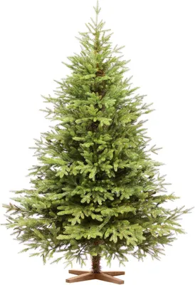 Immagine prodotto di FAIRYTREES Albero di Natale 180 cm Nordman Esclusivo 100% PE | Elementi naturali realizzati ad iniezione| in UE | albero con supporto in legno di frassino fatto a mano