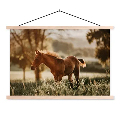 Produktbild von MuchoWow® Textilposter Pferd - Licht - Wiese 120x80 cm mit holzfarbenen Rahmen - Aufhängeset