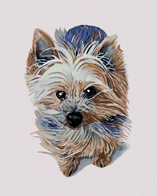 Produktbild von Diamondi - Diamond painting - KLEINER YORKSHIRE, 40X50 cm, mit Keilrahmen (bereits gespannt)