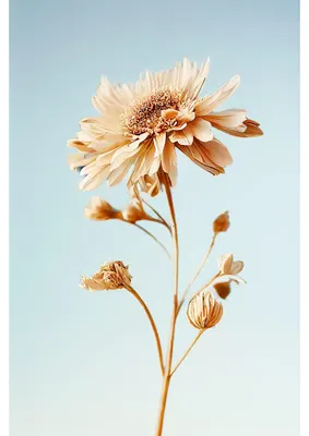 Image de Tableau sur toile fleur 30x45 cm, Tableau mural moderne pour décoration intérieure