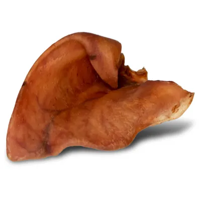 Image de Dogario Bonni Piggy Ear L - grande oreille de porc à mâcher pour chien Dogario