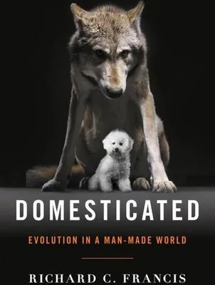 Produktbild von Domesticated