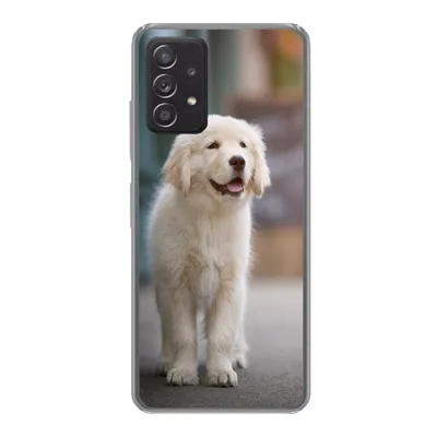Produktbild von MuchoWow® Handyhülle Schutzhülle Hülle für Samsung Galaxy A53 5G Ein Golden Retriever Welpe läuft auf dem Bürgersteig Silikon Softcase Handy Hülle - Schutzabdeckung