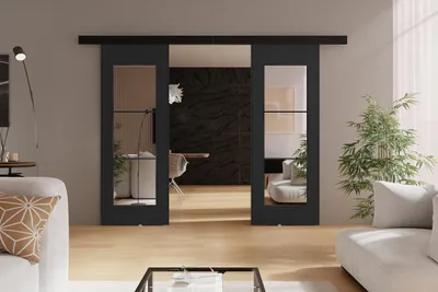 Produktbild von KIER FURNITURE TORI DUO - Schiebetür Komplettset – 132x205x1,6 cm - Graphit