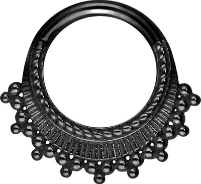 Produktbild von Ohrpiercing, Nasenpiercing, Septum Piercing Chirurgenstahl Segmentring Clicker DESIGN