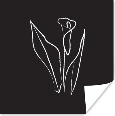 Produktbild von MuchoWow® Poster Blume - Linienkunst - Minimalismus 75x75 cm - Wand Dekoration