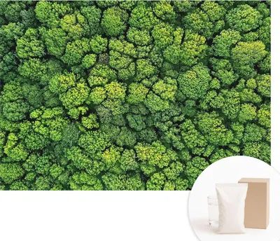 Obrázek produktu pro Samolepicí fototapeta – nástěnné malby do obývacího pokoje – 312 x 219 cm – dekorativní fólie na stěny – moderní design pro výzdobu stěn – tapety do interiérů – lesní panorama