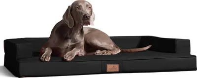 Produktbild von tierlando® Orthopädisches Design Hundesofa GIBSON VISCO Kunstleder kubische Form - Größe: 150x100cm | Farbe: 03 Schwarz