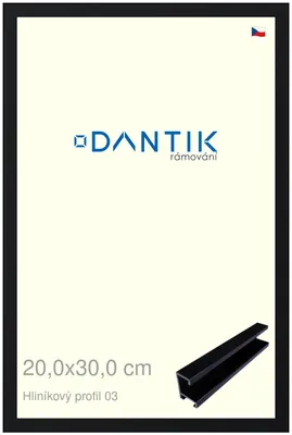 Obrázek produktu pro DANTIK rámeček 20x30 | ALU profil 7003 Černá Florentinská (Sklo Čiré)