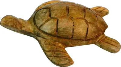 Produktbild von Geschnitzte Deko Schildkröte in 2 Größen, Braun, Holz, Größe: 3*8*7 cm