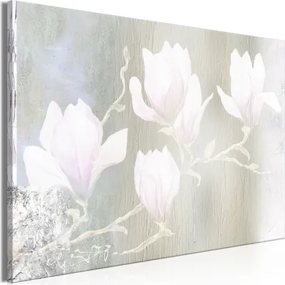 Produktbild von Italienischer Leinwand Leinwandbild - White Magnolias (1 Part) Wide 120x80 cm Blumen b-A-10024-b-a