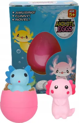 Produktbild von Magisches Axolotl Ei Wachsende Figur im Wasser - Schlüpfendes Spielzeug - Spannendes Experiment
