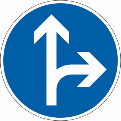 Produktbild von Schild I Verkehrszeichen Vorgeschriebene Fahrtrichtung geradeaus rechts, Nr.2...