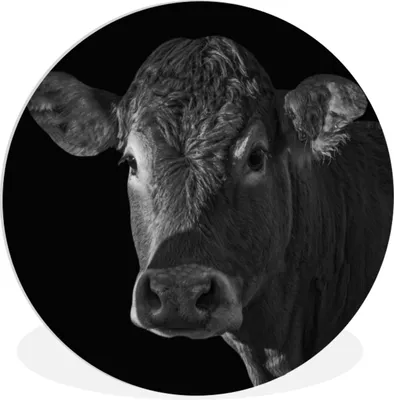Produktbild von MuchoWow® Rundes Wandbild - Runde Bilder Kuh - Tiere - Schwarz - Weiß - Porträt Ø 60 cm Kreis Wanddekoration Kunststoff - Wandkreis - Wandschmuck - Wand Kreis - Das Schlafzimmer - Die Bilder - Wandmalerei - Kunst für das Haus - das Plastik