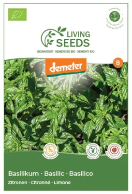 Produktbild von Zitronen-Basilikum 4.1g Saatgut von Living Seeds