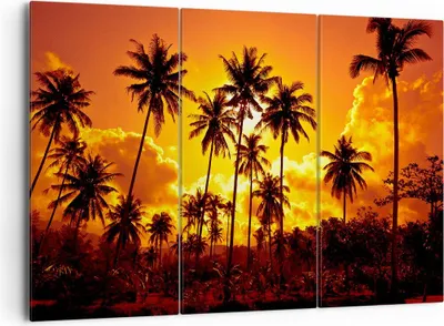 Produktbild von Bild auf Leinwand - Leinwandbild - Palmen Bäume Sonne - 165x110cm - Wand Bild - Wanddeko - Leinwanddruck - Bilder - Kunstdruck - Wanddekoration - Leinwand bilder - Wandkunst - CE165x110-0187