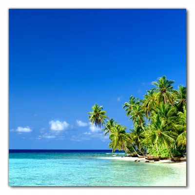 Produktbild von Wallario selbstklebende Möbelfolie/ Tischdecke für Innen und Außen, Größe: 50 x 50 cm - Blauer Himmel  weißer Strand  Palmen und das tiefblaue Meer
