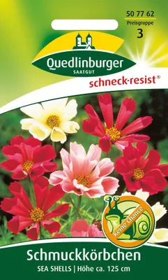 Produktbild von Schmuckkörbchen, Sea Shells