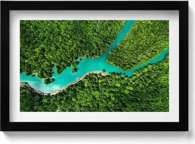 Produktbild von Vogelperspektive auf einen Fluss in tropischen Wäldern– Wandbild mit Rahmen – Gerahmtes Bild  – Wanddekoration – 30x20 cm –  Schwarz Rahmen