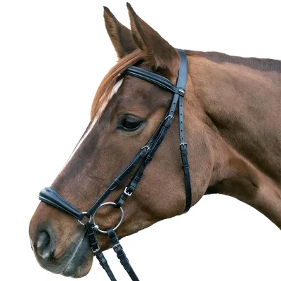 Image de Bridon STAR Hanovre noir, SH