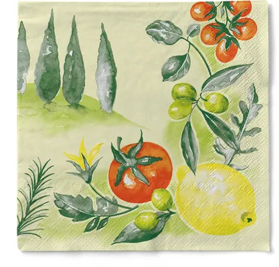 Produktbild von Tissue Serviette Francesco, 3-lagig, 40 x 40 cm, 100 Stück - Mank - Mediterran