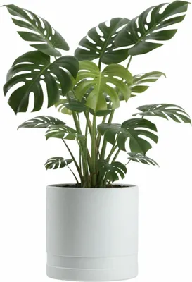 Immagine prodotto di HowHomely | Vaso da fiori - Fioriera - bianco - L31xH30 cm - Vaso da fiori - Coprivaso - Pratico