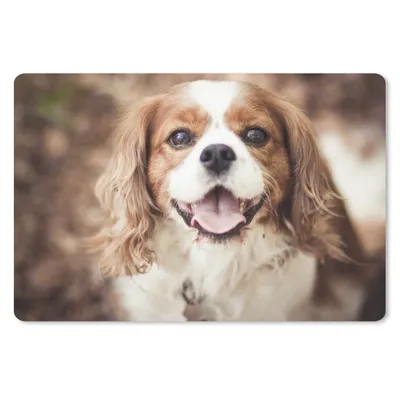 Produktbild von MuchoWow® Mauspad Mousepad Cavalier King Charles Spaniel im Herbst 27x18 cm - Mousepads - Maus Mat - Pad - Mausunterlage - Büroartikel - Desk Matten