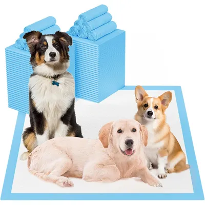 Produktbild von Haustier-Urineinlagen XL 60×90cm – 20 Stück Einweg-Unterlagen, extra saugfähig & dick, ideal für Hunde und Katzen zur schnellen Flüssigkeitsaufnahme