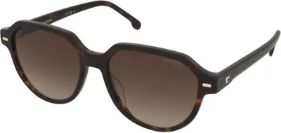 Produktbild von Carrera CARRERA 3068/S Havana 53/16/140 Damen Sonnenbrillen