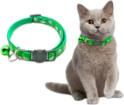 Imagen del producto de Collar verde para gatos, con cierre de seguridad, ajustable de 18 a 32 cm