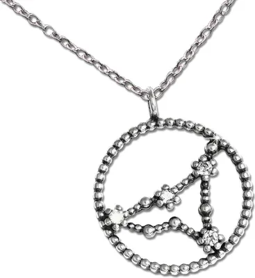 Produktbild von SilberDream Halskette 925 Silber 45cm Sternzeichen Steinbock Schmuck D2SDK8501W