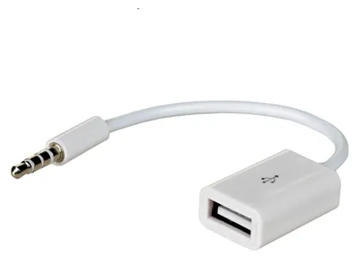 Zdjęcie produktu dla Kabel adapter Akyga AK-AD-24 USB 2.0 A(F) - mini Jack(M)