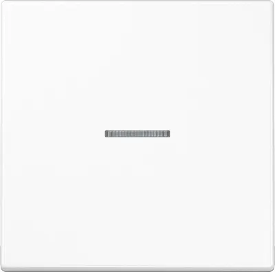 Image de Jung eNet Bouton-poussoir deradio standard simple FM LS 1700 WW (FMLS1700WW)