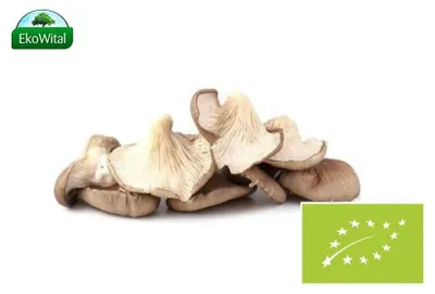 Produktbild von SIDE Pilz 200 g