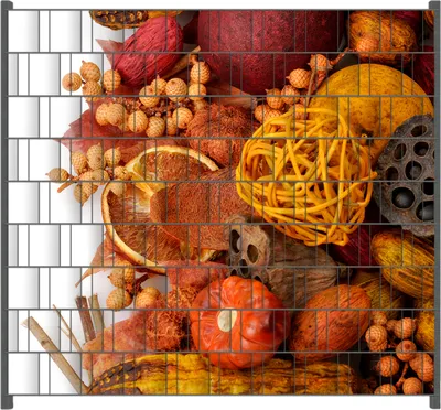 Produktbild von Wallario Zaunsichtschutz mit Motiv Herbststimmung - Trockenfrüchte, Nüsse und Samen - Herbstdeko für Ein- und Doppelstabmatten Zäune in der Größe 200 x 180 cm