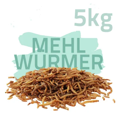 Mehlwürmer getrocknet 5kg