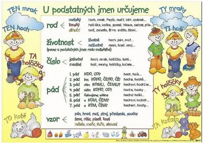 Obrázek produktu pro U podstatných jmen určujeme / Výjimky u podstatných jmen (karta)