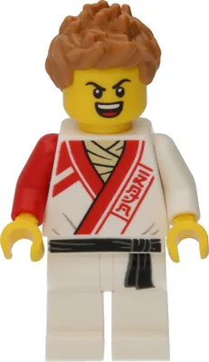 Image de LEGO Ninjago : Ninja Contenders